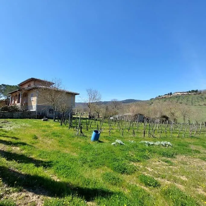 Bellavista Exclusive Tuscan Villa Ambra Holiday home