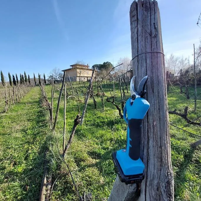 Holiday home Bellavista Exclusive Tuscan Villa Ambra Italy
